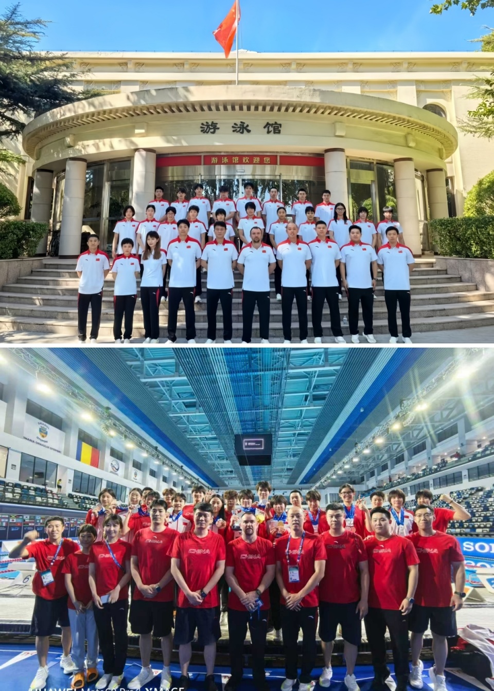 https, 杨佩琪是身, 次个人最佳