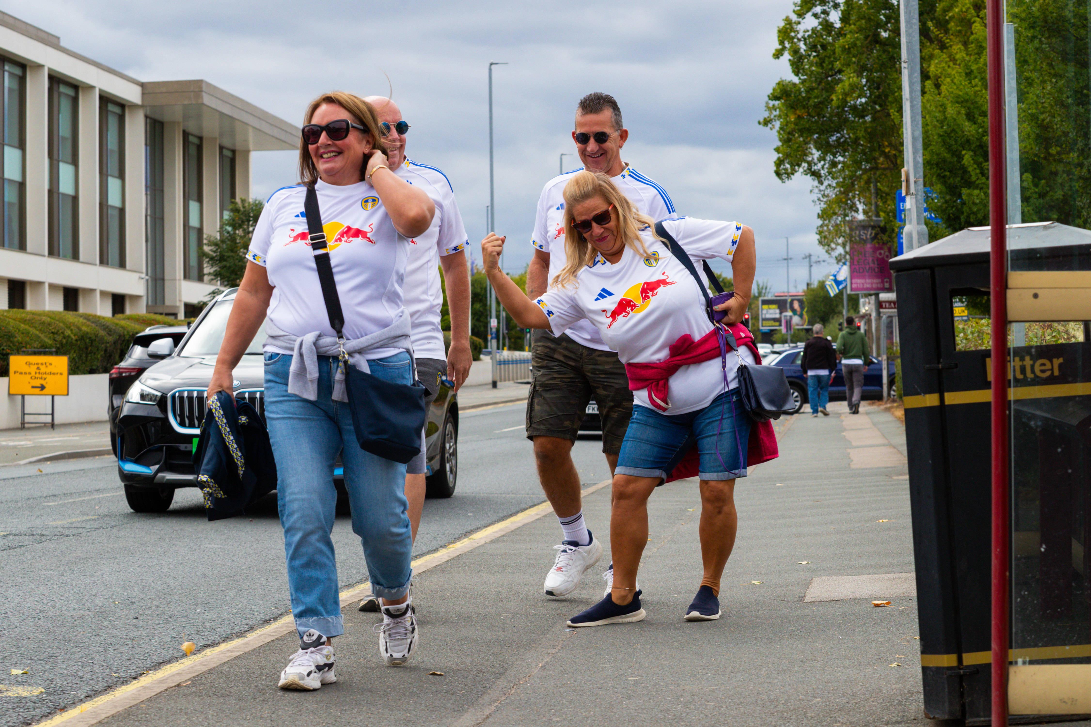 但我宁愿只, 意思的 但我宁愿只, 意思的